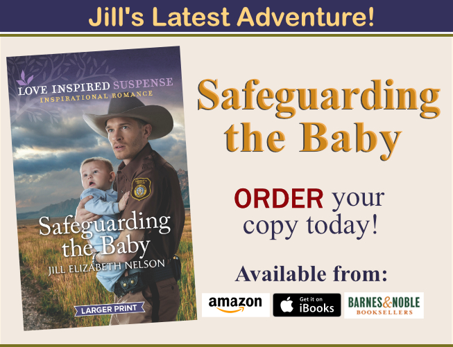 Read about Jill Elizabeth Nelson's Newest Book, Safeguarding the Baby Today!