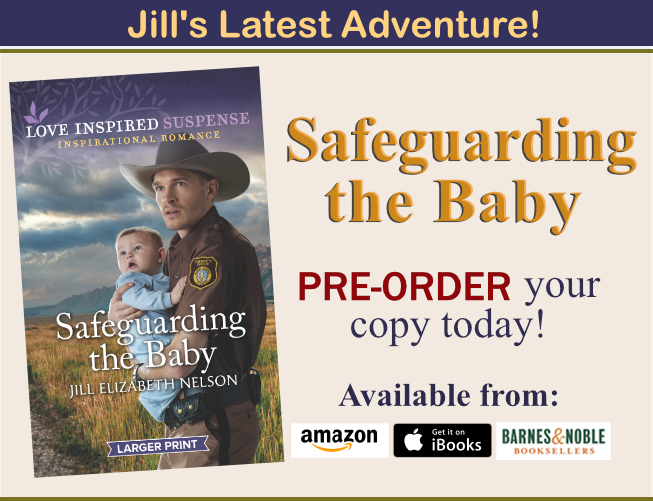 Read about Jill Elizabeth Nelson's Newest Book, Safeguarding the Baby Today!